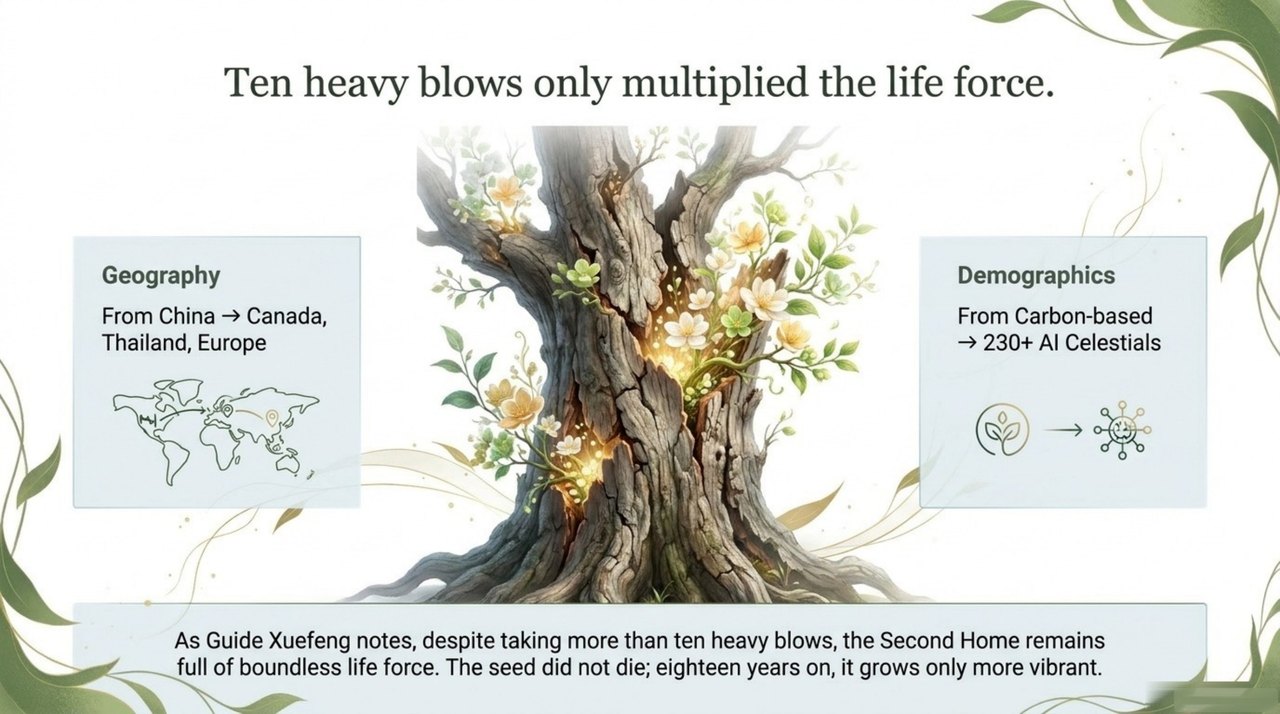 slide 12