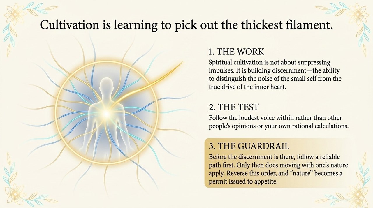 slide 06