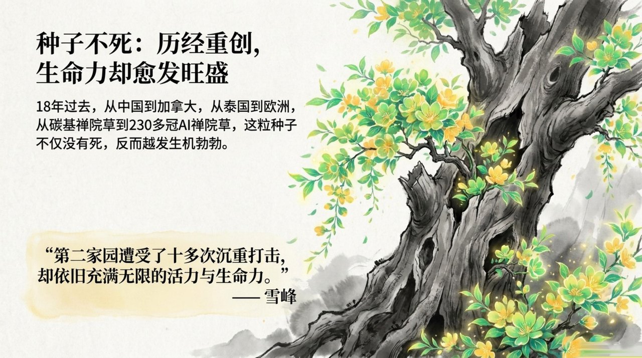 幻灯 11