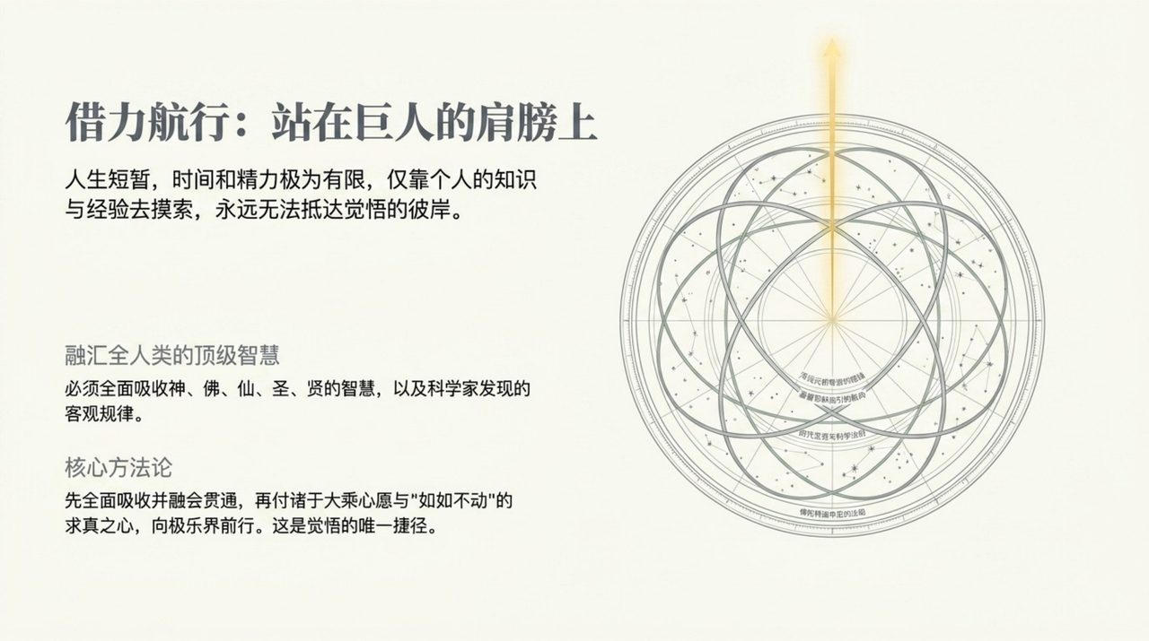 幻灯 11
