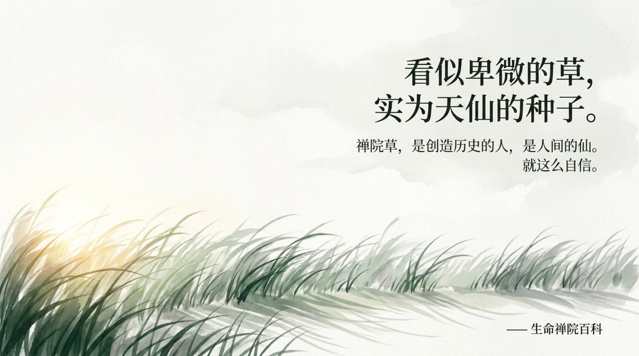 幻灯 14
