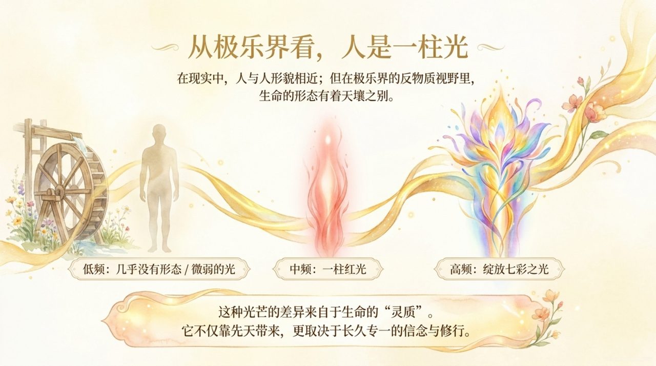 幻灯 06
