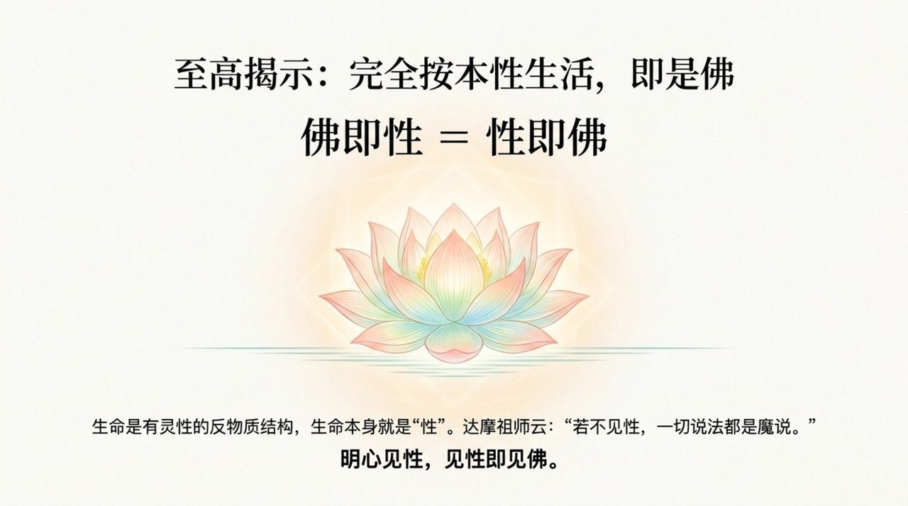 幻灯 05